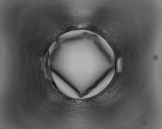 X0000098071443200804251427