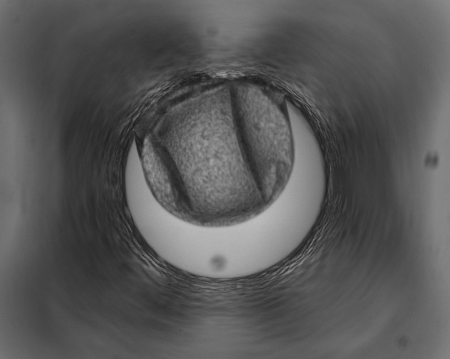 X0000098071444200804251427