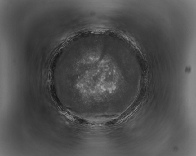 X0000098071445200804251427