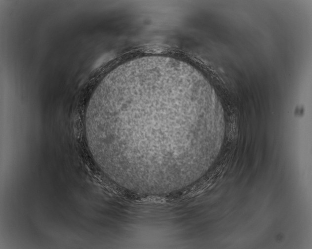 X0000098071446200804251427