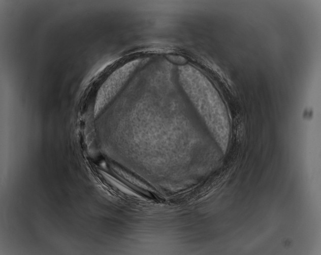 X0000098071448200804251427