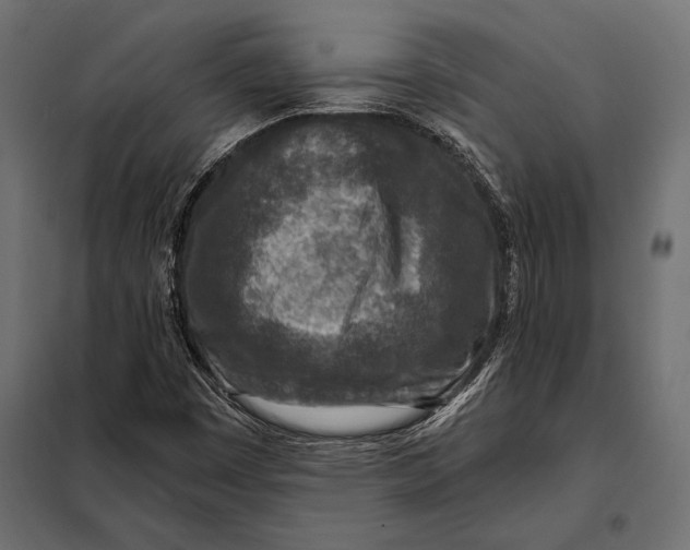 X0000098071449200804251427