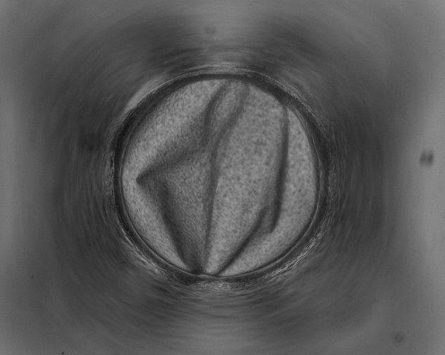 X0000098071450200804251427