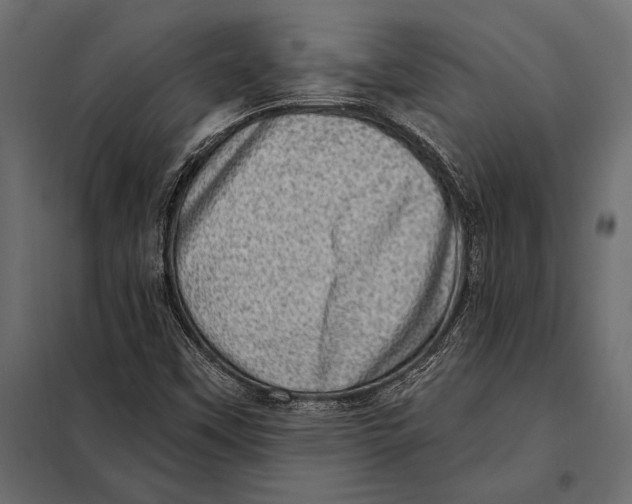 X0000098071451200804251427