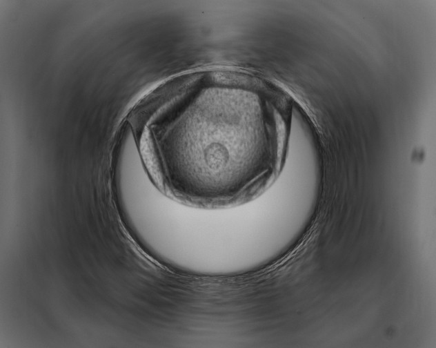 X0000098071452200804251427