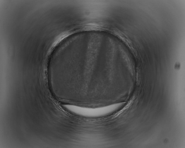 X0000098071453200804251427