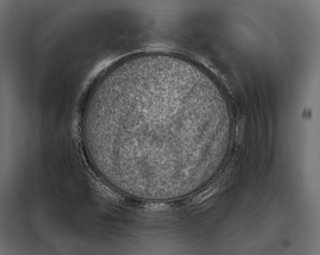 X0000098071454200804251427