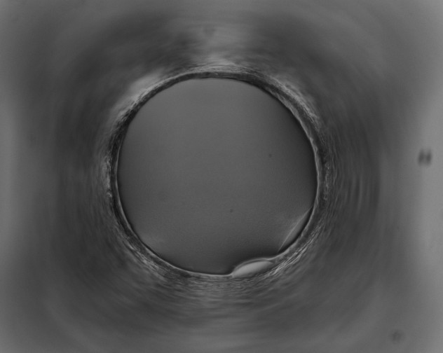 X0000098071455200804251427