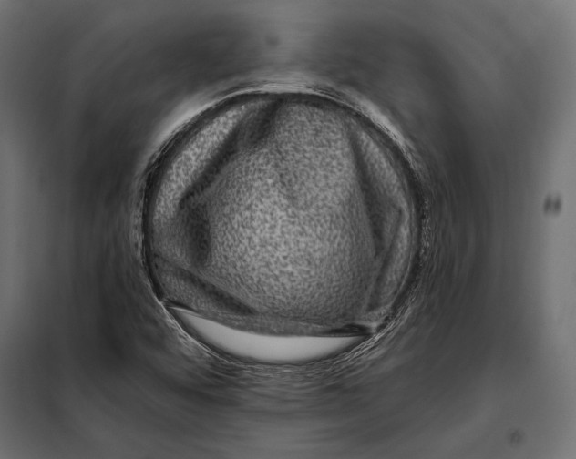 X0000098071456200804251427