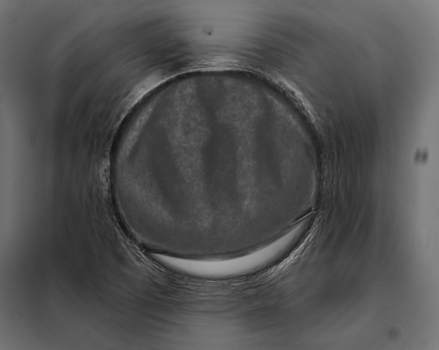 X0000098071457200804251427