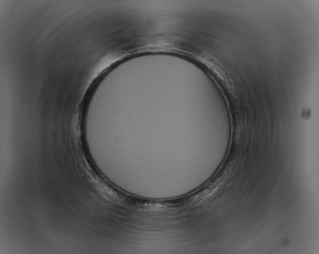 X0000098071458200804251427