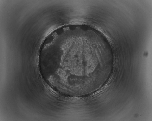 X0000098071459200804251427