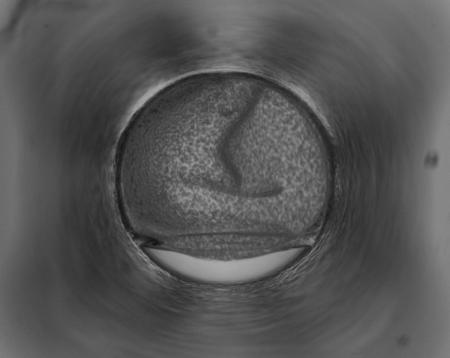 X0000098071460200804251427