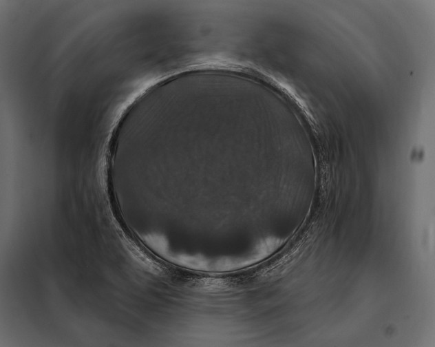 X0000098071463200804251427