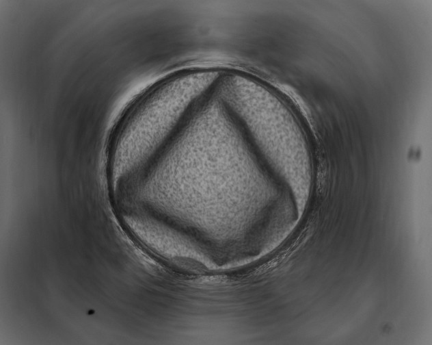 X0000098071464200804251427