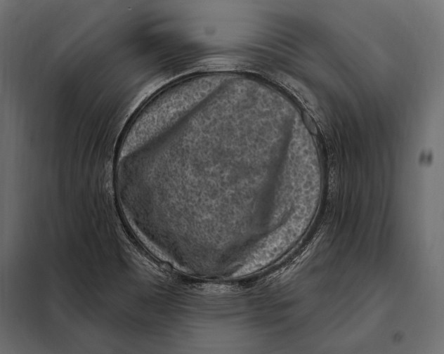 X0000098071465200804251427