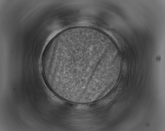 X0000098071466200804251427