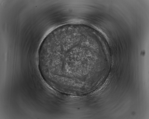 X0000098071467200804251427