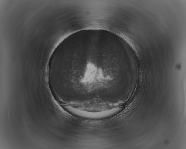 X0000098071468200804251427