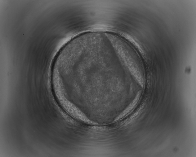 X0000098071469200804251427