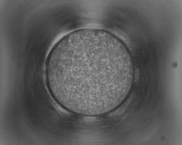 X0000098071470200804251427