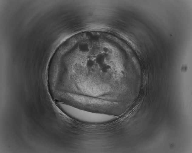 X0000098071471200804251427