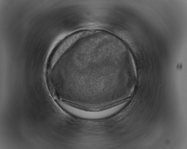 X0000098071472200804251427