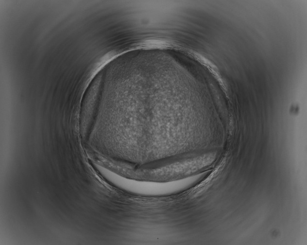 X0000098071473200804251427