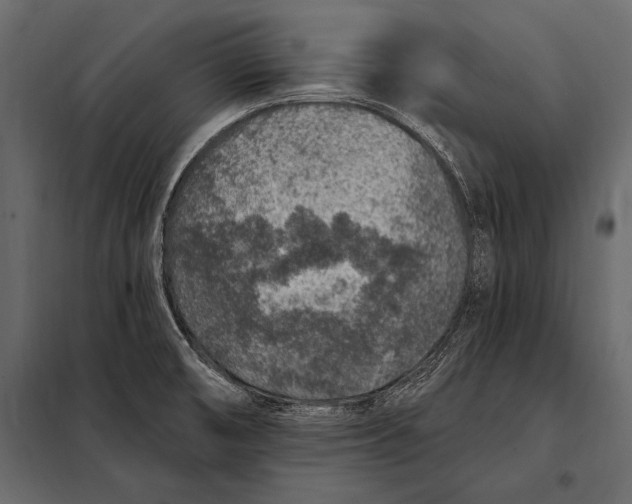 X0000098071474200804251427