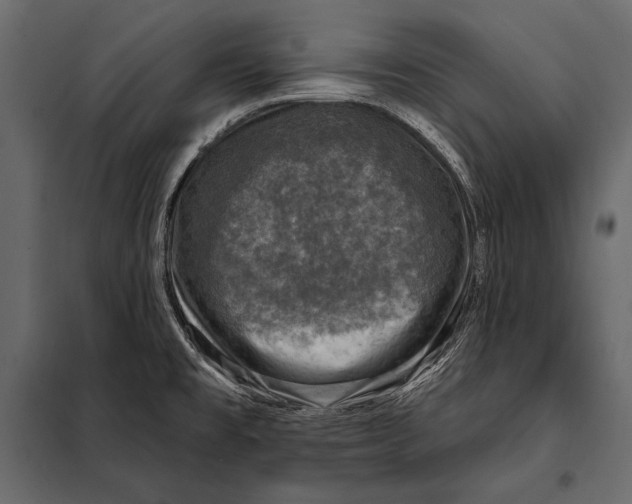 X0000098071477200804251427