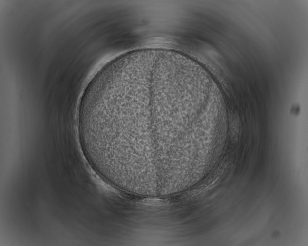 X0000098071478200804251427