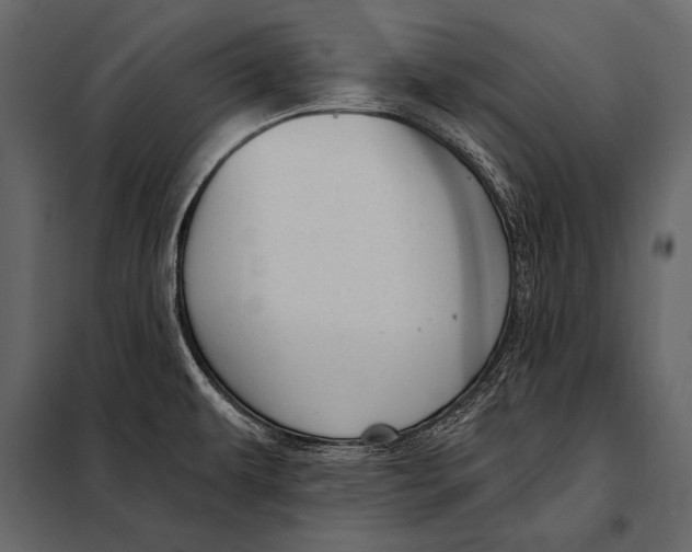 X0000098071479200804251426