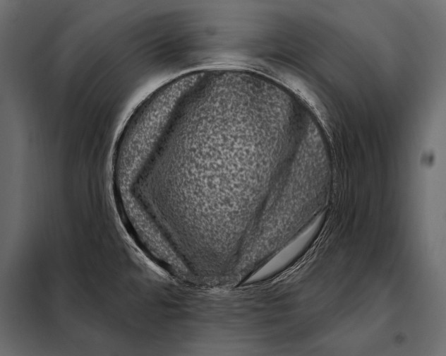 X0000098071480200804251426