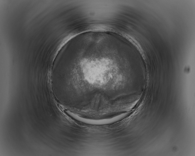 X0000098071481200804251426