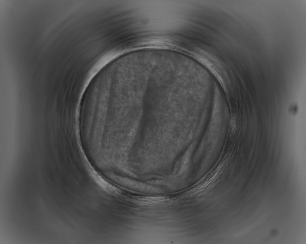 X0000098071482200804251426