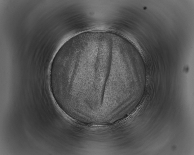 X0000098071483200804251426