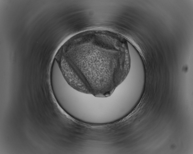 X0000098071484200804251426