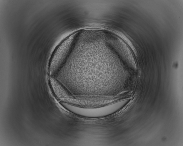 X0000098071485200804251426