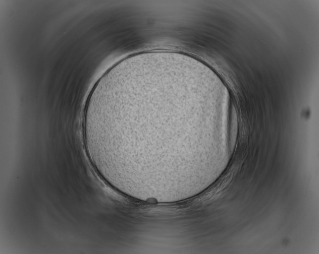 X0000098071486200804251426