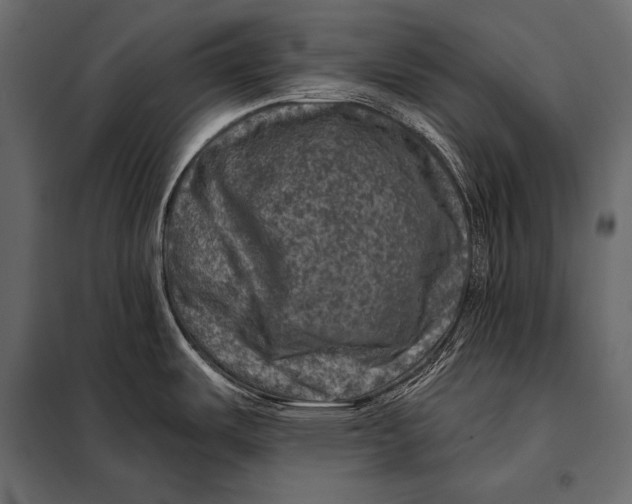 X0000098071487200804251426