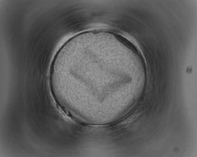 X0000098071488200804251426