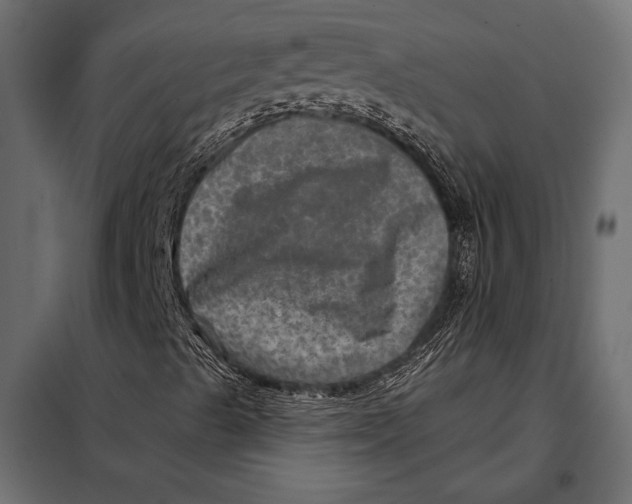 X0000098071489200804251426