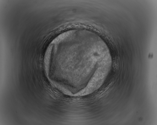 X0000098071490200804251426