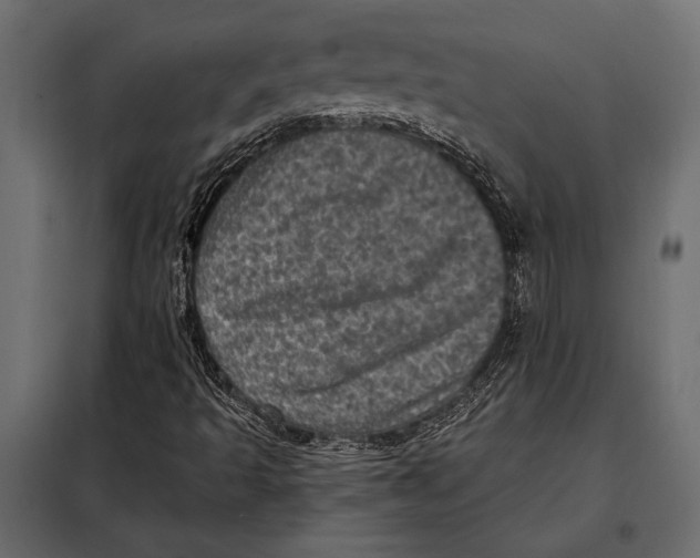 X0000098071493200804251426