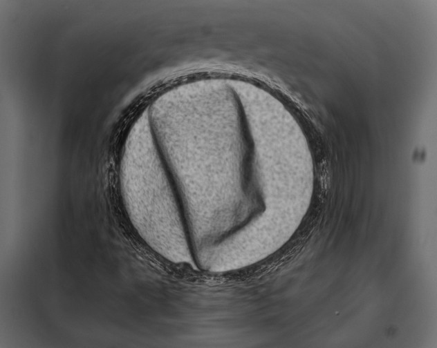 X0000098071495200804251426