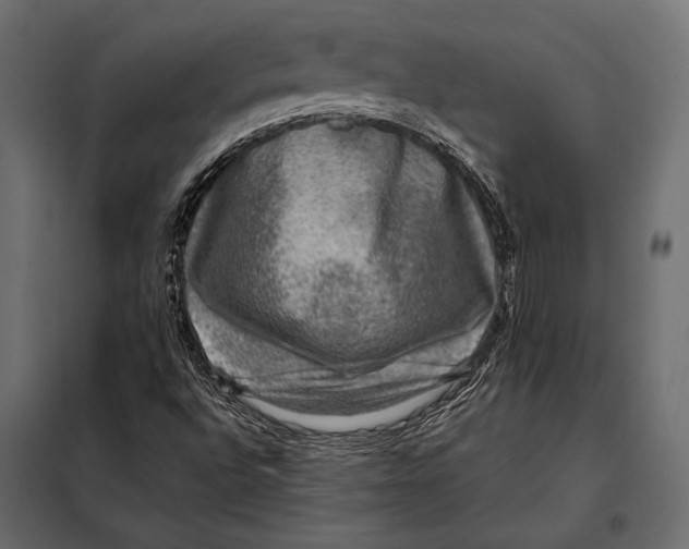 X0000098071496200804251426