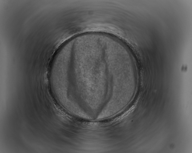 X0000098071497200804251426