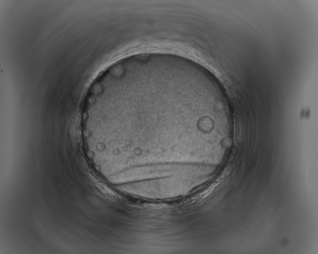 X0000098071498200804251426