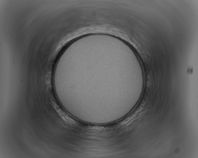 X0000098071499200804251426