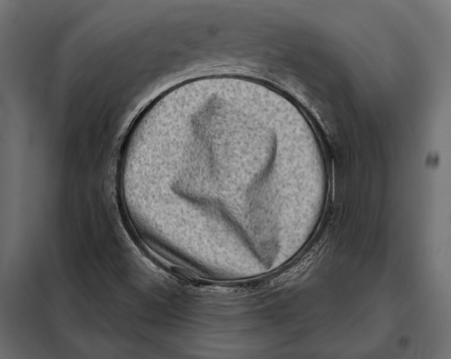 X0000098071500200804251426